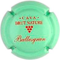 Placa 52e3435ca4261_a58fbe4efb406a149009b1d3da4dc503