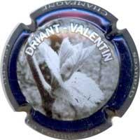 Placa 52e832c5cb62f_95c40f41e05faa1e9c3c19f267e9e81b