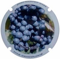 Placa 52eadc53198f1_2114c9820eafc15308e0cc6d8f545cb9