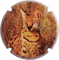 Placa 52eb756cc2b6a_acfc526b50caebba60015d3d4d565e35