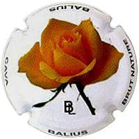 Placa 53db65eab5677_8f3ffa87c06de5b289cf9d7888e3edec