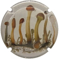 Placa 55a6871353fc6_95e522397d16c3043ae4bb7dcb9100d6