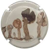 Placa 55a68824b9dcd_7bfdff14cb46386317a87e6879641c82