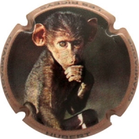 Placa 55b0b648018fb_fe140685c9b27fccfc6d49d9e90ee59f