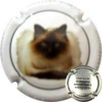 Placa 560ff4aa63ba2_73caf0b8a46aa06bdf2147086302727b