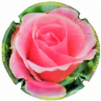 Placa 561570c3c39dc_7ec512f347cada0c55332ad1c991dea5