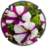 Placa 568454ca078c0_583a4a3341677a7db52b12fec55319fb