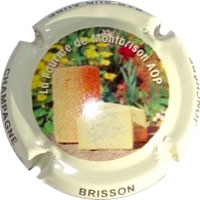 Placa 568c020c209b4_e6044070cb62a5cc89573e737cc0ee90