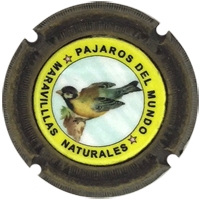 Placa 58bc5654b54bb_2582d12e64a06a6e19c9c70633c92037