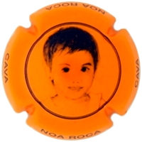 Placa 5937a8638b667_368487fdc50fde6eed83f3a28382f8a7