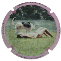 Placa 599088a1d12b4_a697c862f451618426471292d3522411