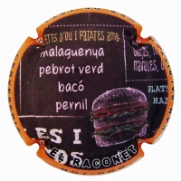 Placa 5acfa18410629_175d17c9ea06d513d6d6d29622c99273