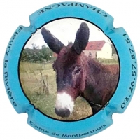 Placa 5c82a893ed8de_9c92c4cd03543a6f1ecafb8819c0787b