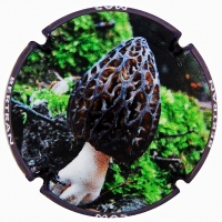 Placa 5c8bd026d88cb_17ac17f3e57762553e979da942f2976e