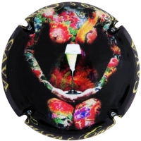 Placa 5ded2309411f1_0ef2e51b049184ea01651c4bf786c652