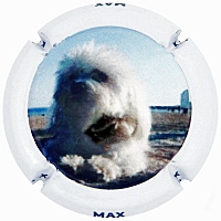 Placa 5e1822f965cde_4bc2d3ef109bed12016b5c13cc967a00