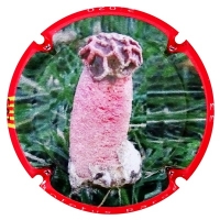 Placa 5eb53c49a5d71_936b825fea37c72a79404f00d57f3fa7