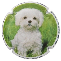 Placa 5ebefeac41310_d7ccafa548fb0fdb494a98f1c05a916a