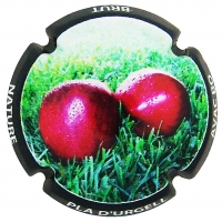 Placa 5efefff52a161_71db9c8d1a34ab2c8471710ccb9228b7