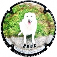 Placa 5fa3dbd76fe7b_a068f62924b286aef8ccce33e1ab2429