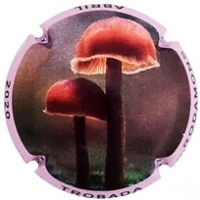 Placa 5fce666546c34_5b90a1c7631f2c39fc54f424544f6553