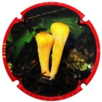 Placa 5fe375a52e20a_23983bdd1776b597a70ad31cdef7119c