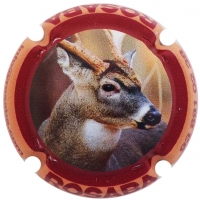 Pirules