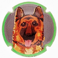 Placa 60acc268add08_06268a8c67e220589622c2474653099e