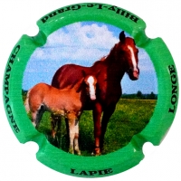 Placa 60ed9498b6a36_76050d642c7eab4235cc721c35191e4a