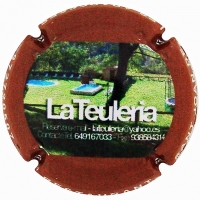 Placa 61fd8c6adf325_19ac9b934a91ba1f4fa7bea905c68c6b