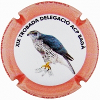 Placa 626ab9fb5b67b_c70656b48c436a47bd938c1c969f5db6