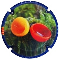 Pirules