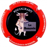 Placa 63891a1ccd56a_6817f7aaaee17afeff67deb2c8baafb2