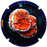 Placa 63a238317e6b0_9f0a760bdc24f9e01184919ab3b4306d