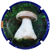 Placa 63bad50d1c1d6_d23a000cc1cc2e58aa7afa86a2ba1967