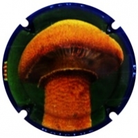 Placa 63d2f76f456dd_e56ff58e78cc770af16e7c1d33839998