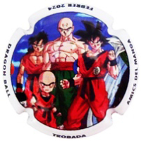 Placa 663b6ec7501d4_15cdf58df77fa24993977f4d8528abf7