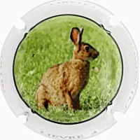 Placa 67a33e244b950_3ced32093b93933a28724d7e2a93ffaf