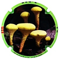 Placa 681f3b0712a1b_6c08832ca7c959da8625541f5f6534ed