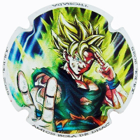 Placa 6868b90b43934_ce2caad2526f8e94e5efa0ec05663e51