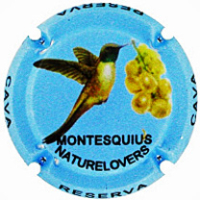 Placa 68bebf5179157_82e47e573d1ed806649c461c366d7a6d