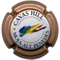 Placa 6962a07f07199_c648398ab7b445a2ae81a6d5cdee3709