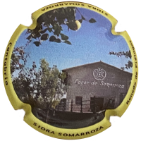 Placa