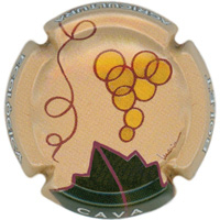 Placa