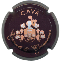 Caves