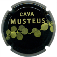 Caves