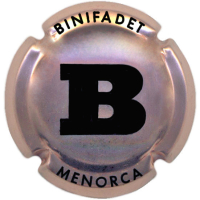 Autonòmica