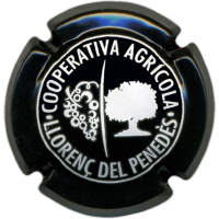 Placa