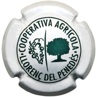 Placa