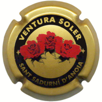 Placa